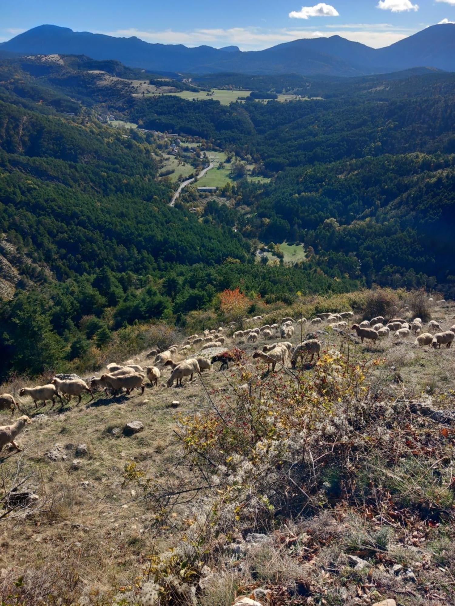 Gite La Mountagna Peyroules Eksteriør bilde